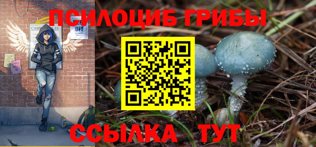 Псилоцибиновые грибы GOLDEN TEACHER Будённовск