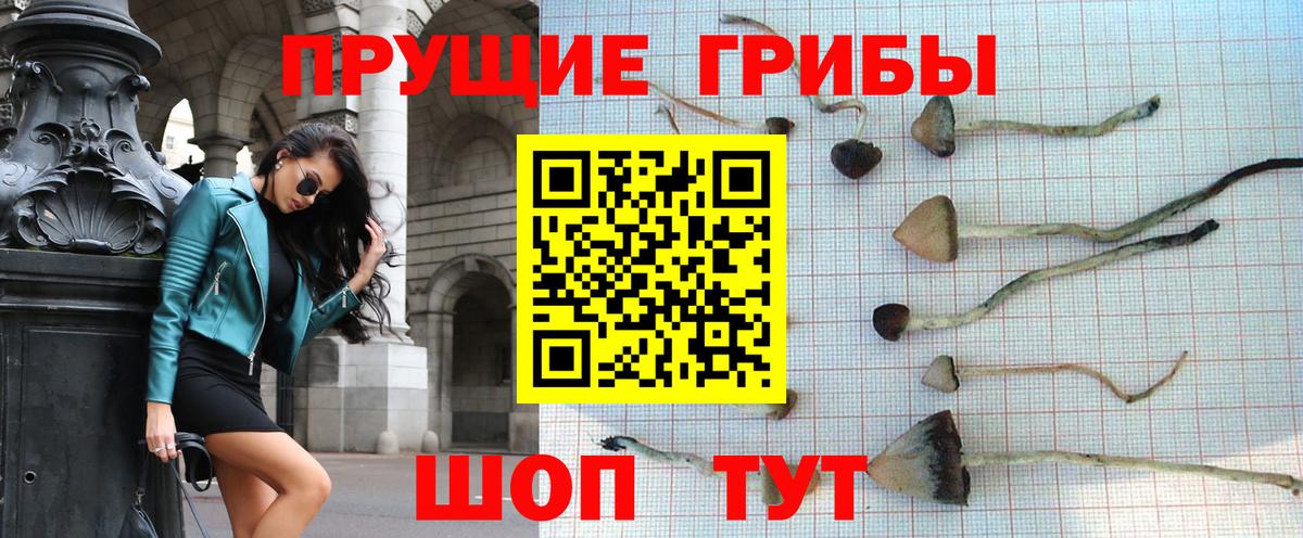 Галлюциногенные грибы мухоморы  магазин  наркотиков  Будённовск  Псилоцибиновые грибы MAGIC MUSHROOMS  Вход с VPN 