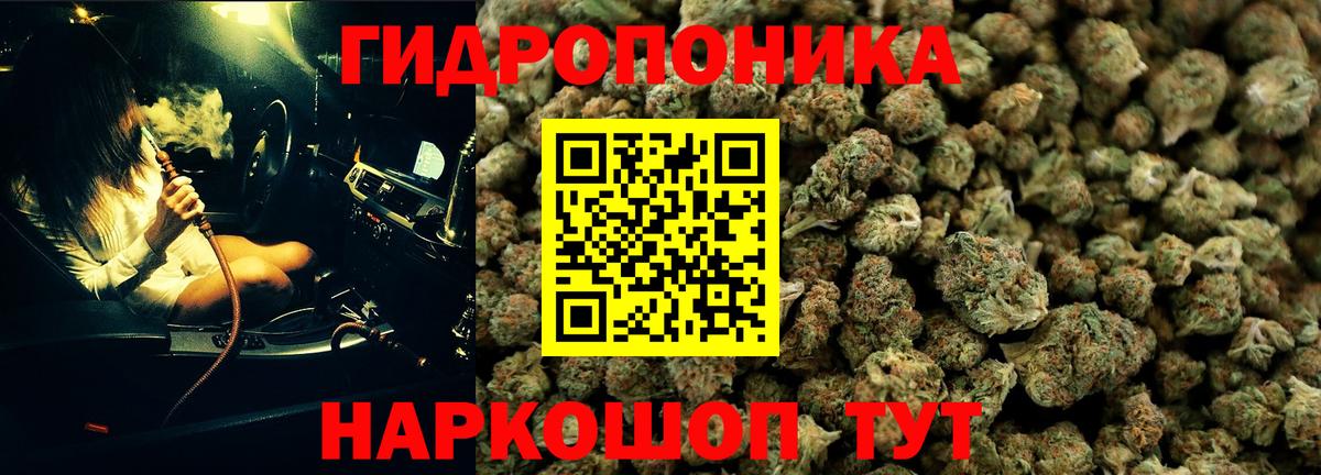 Шишки марихуана конопля  Вход с VPN  Бошки Шишки THC 21%  Будённовск  МАРИХУАНА тримм 